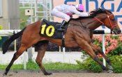 Birthday Gift<br>Photo by Singapore Turf Club